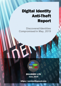 Digital Identity Anti-Theft Report May 2019
